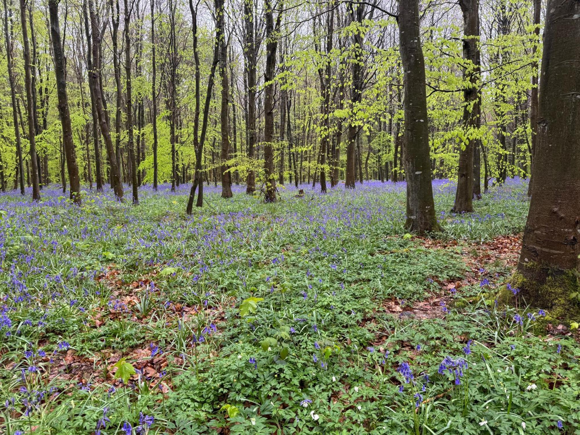 Camping L'Oree Des Caps Licques Екстериор снимка